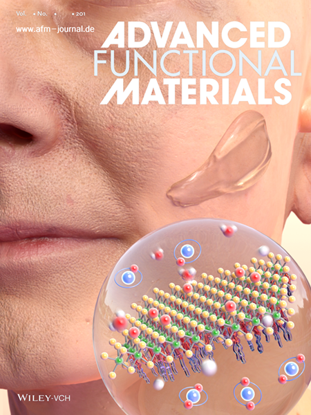 Advanced Functional Materials 9월호 표지 이미지.