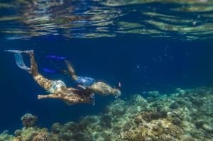 몰디브 반얀트리 호텔-앙사나 리조트, 산호초 보호 프로그램 강화
