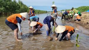 SK이노베이션, CES2022 조성 베트남 맹그로브숲 복원사업 기부금 전달…구성원 참여 식수활동 재개